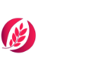https://naomi.coach/wp-content/uploads/2023/07/Naomi_logo_White.png